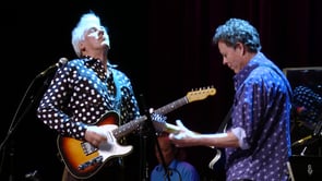 Robyn Hitchcock - Madonna of the Wasps - eTown