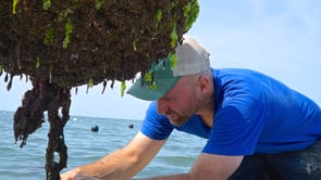 Bren Smith - Thimble Island Ocean Farm - eTown Interview