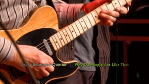 David Bromberg Quintet - Why Do People Act Like That - eTown