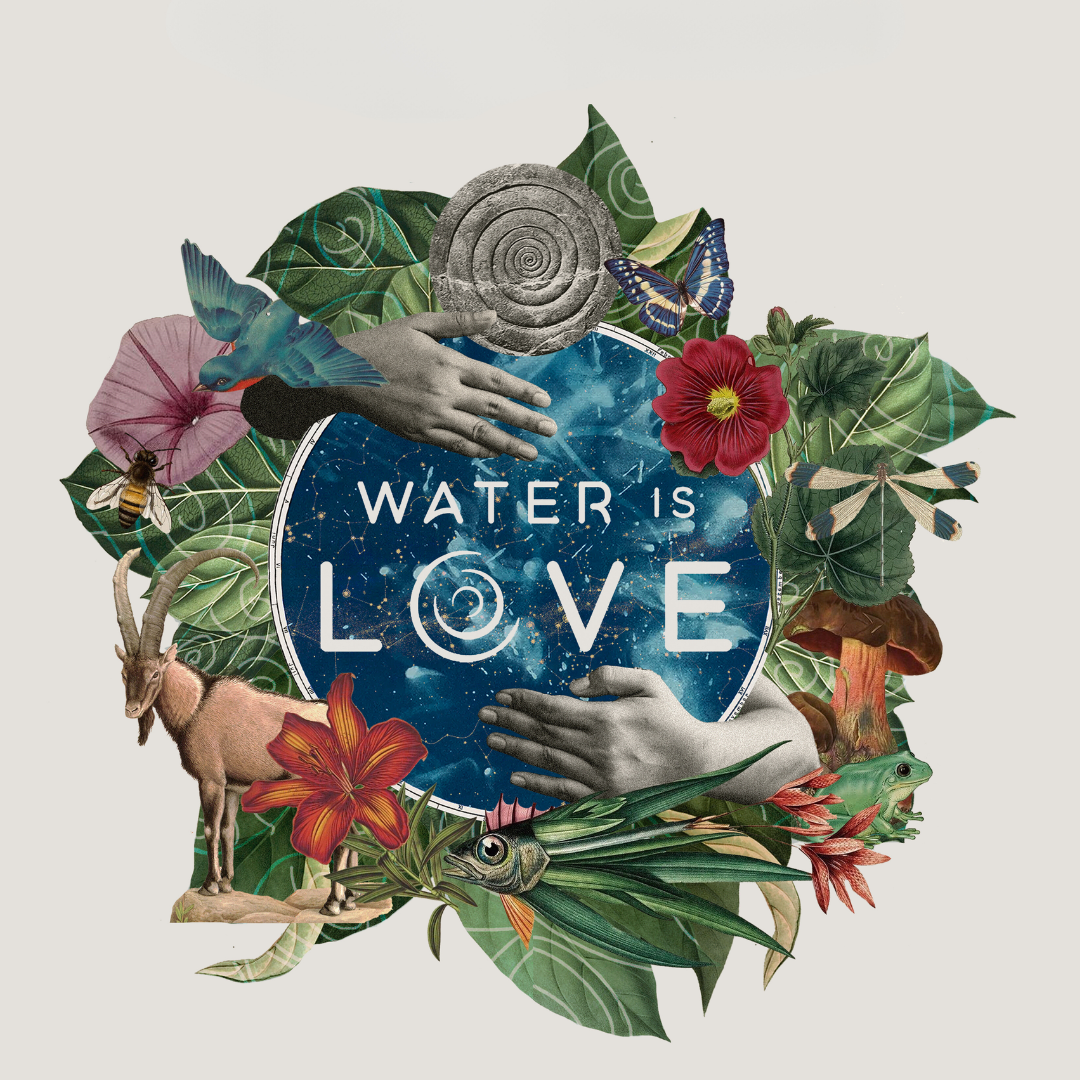 Water Is Love: Earth Week Screening