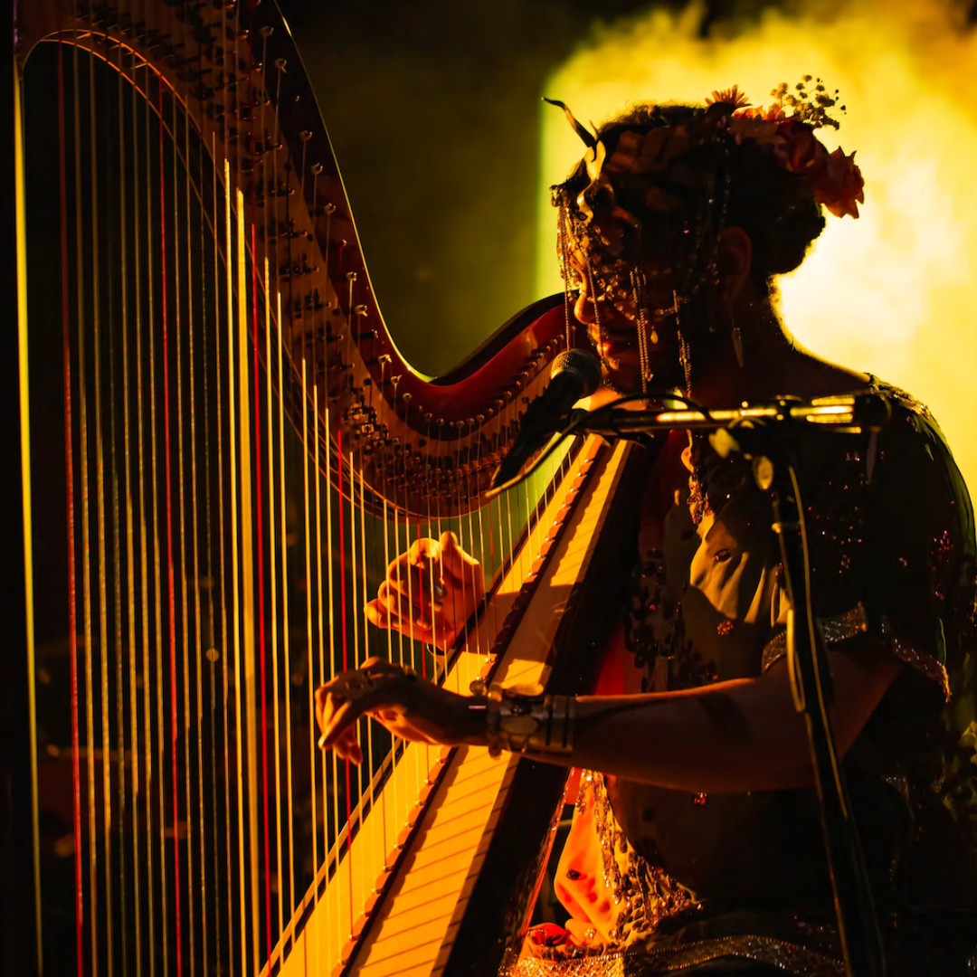 eTown Presents Calvin Arsenia